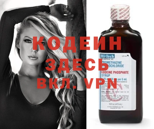 индика Аркадак