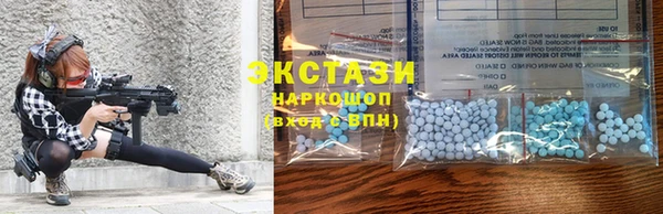 индика Аркадак