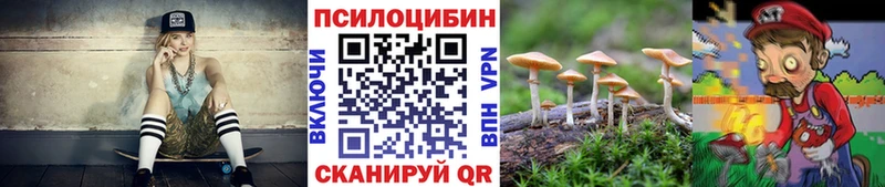 купить  цена  Аркадак  Псилоцибиновые грибы Magic Shrooms 